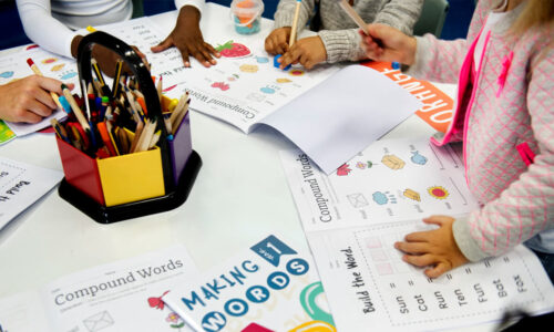 الصورة المصغرة للدورة